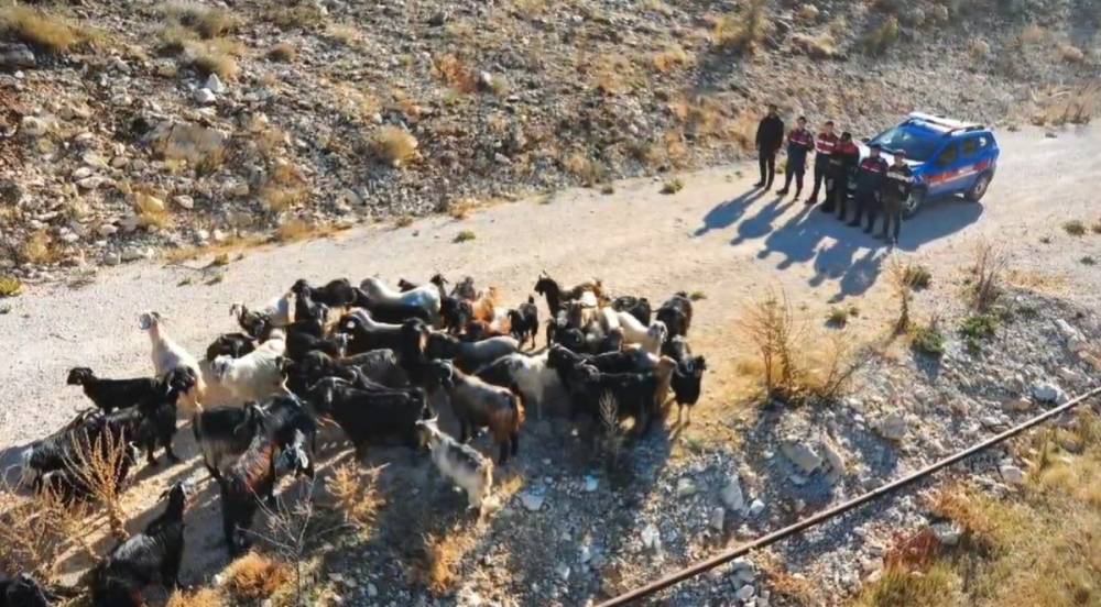 Adıyaman'da kaybolan hayvanlar dron ile bulundu  - Videolu Haber