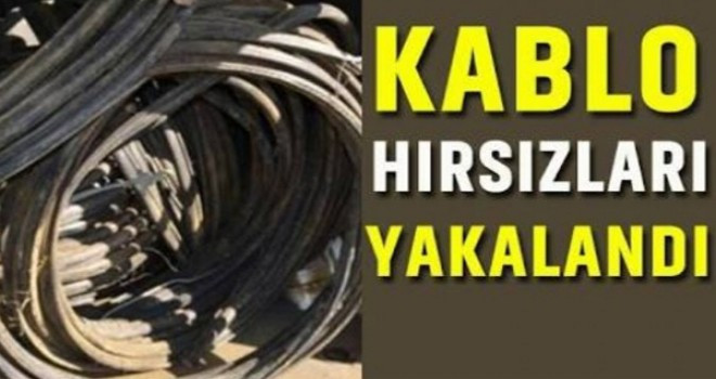 Doğanşehir'de Kablo Çalan 4 Kişi Kameraya Yakalandı