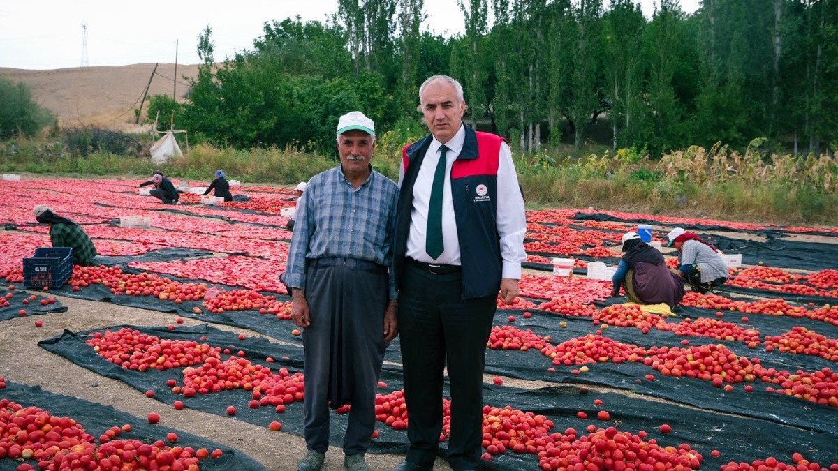 Kuluncak Domates İhraç Ediyor